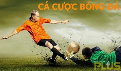 Diễn đàn cá độ bóng đá có ý nghĩa gì? 3 cá cươc bóng đá