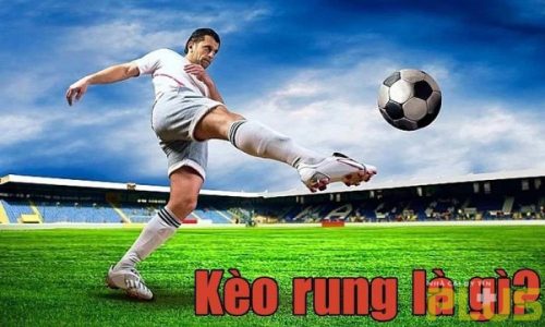 Kèo rung là gì và kinh nghiệm bắt kèo đảm bảo thắng 2 kèo rung là gì