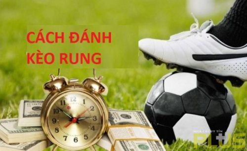 Kèo rung là gì và kinh nghiệm bắt kèo đảm bảo thắng 3 cách đánh kèo rung