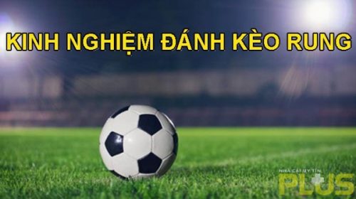 Kèo rung là gì và kinh nghiệm bắt kèo đảm bảo thắng 4 kinh nghiệm đánh kèo rung